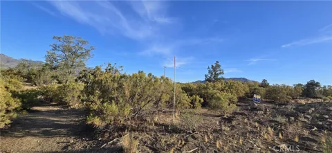 64001 Palm Canyon