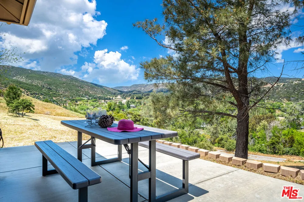 18087 Newview Drive Lake Hughes, CA 93532