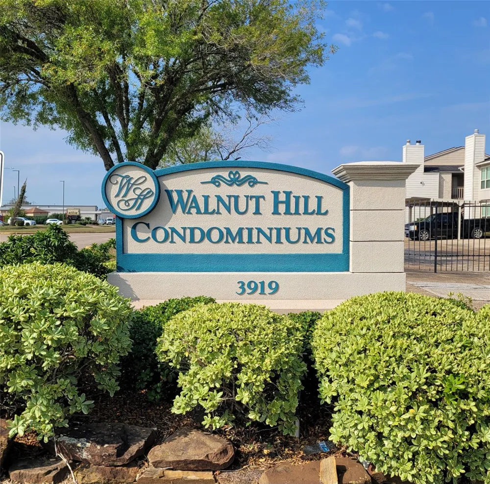 3919 Fairmont Parkway #255 Pasadena, TX 77504