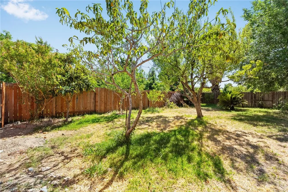 1033 Date Street Orland, CA 95963