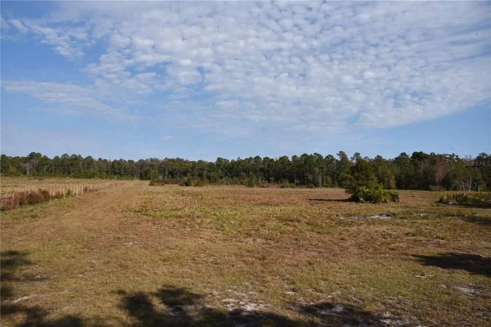 81 CLOUDS AVE Interlachen,, FL 32148