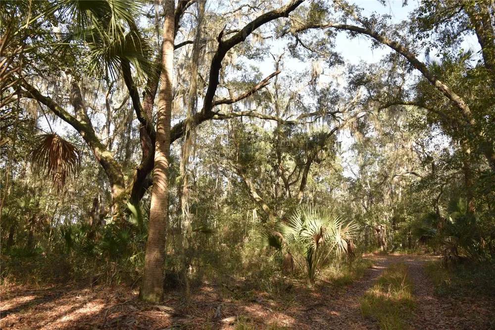 81 CLOUDS AVE Interlachen,, FL 32148