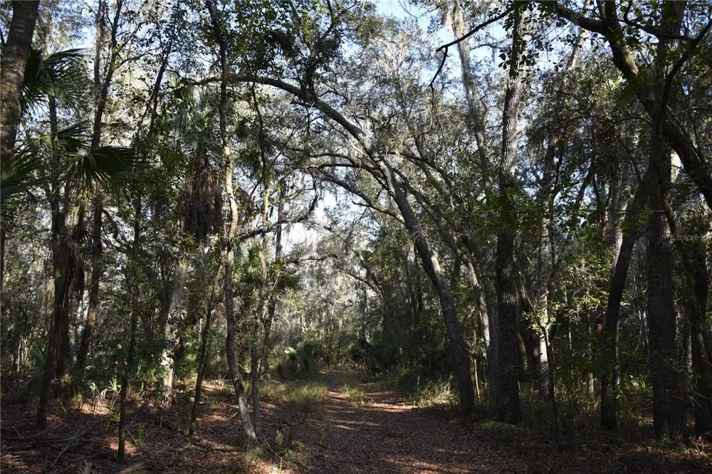 81 CLOUDS AVE Interlachen,, FL 32148