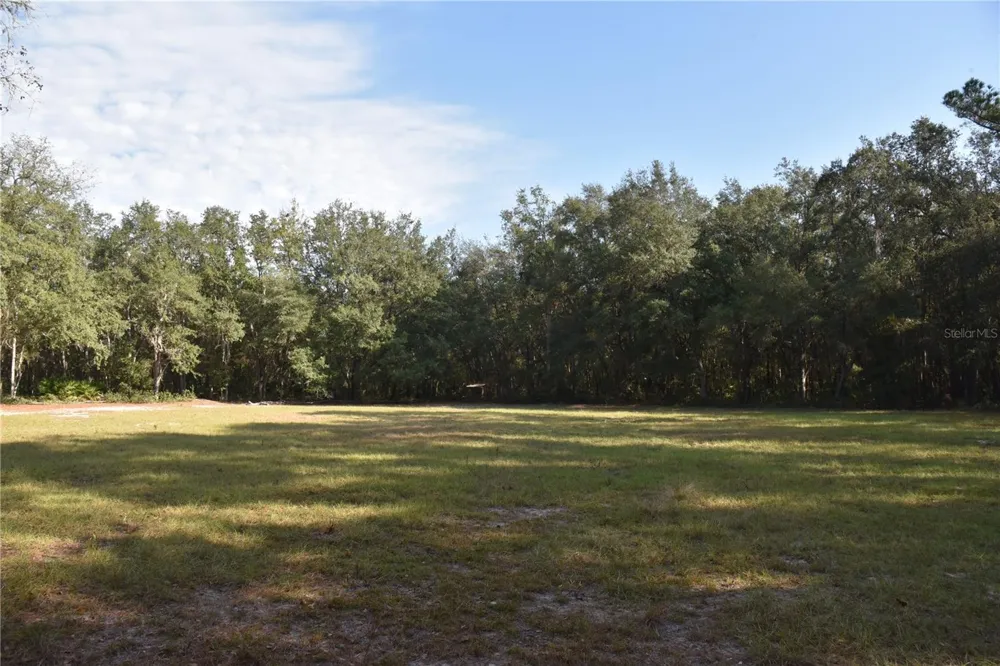 81 CLOUDS AVE Interlachen,, FL 32148