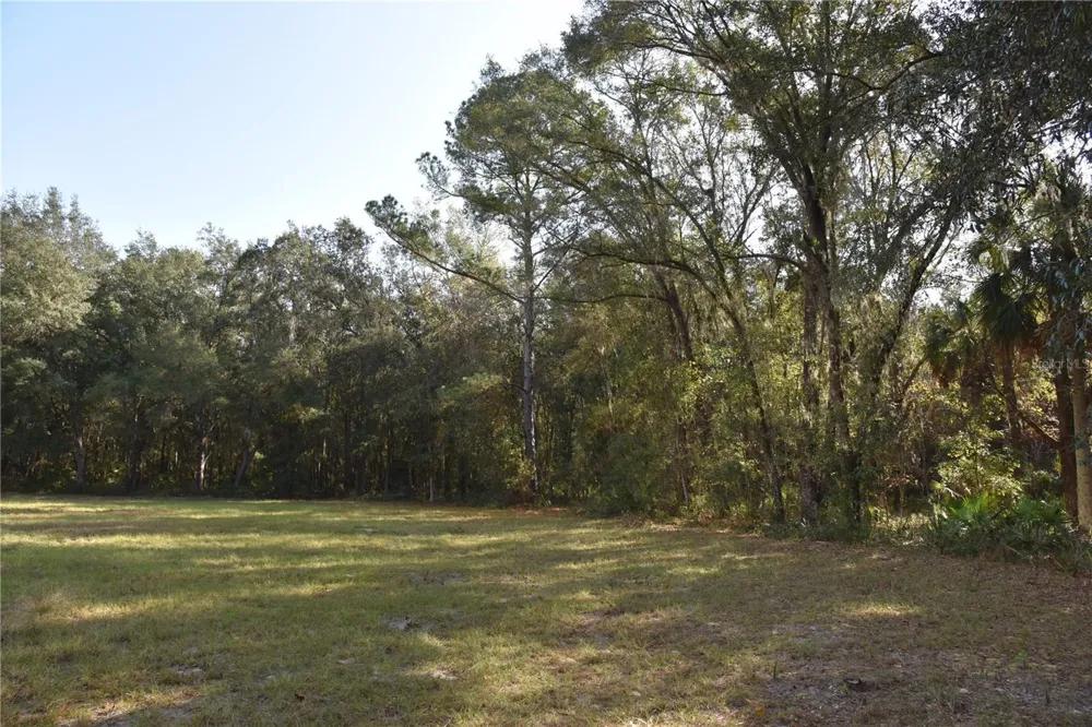 81 CLOUDS AVE Interlachen,, FL 32148