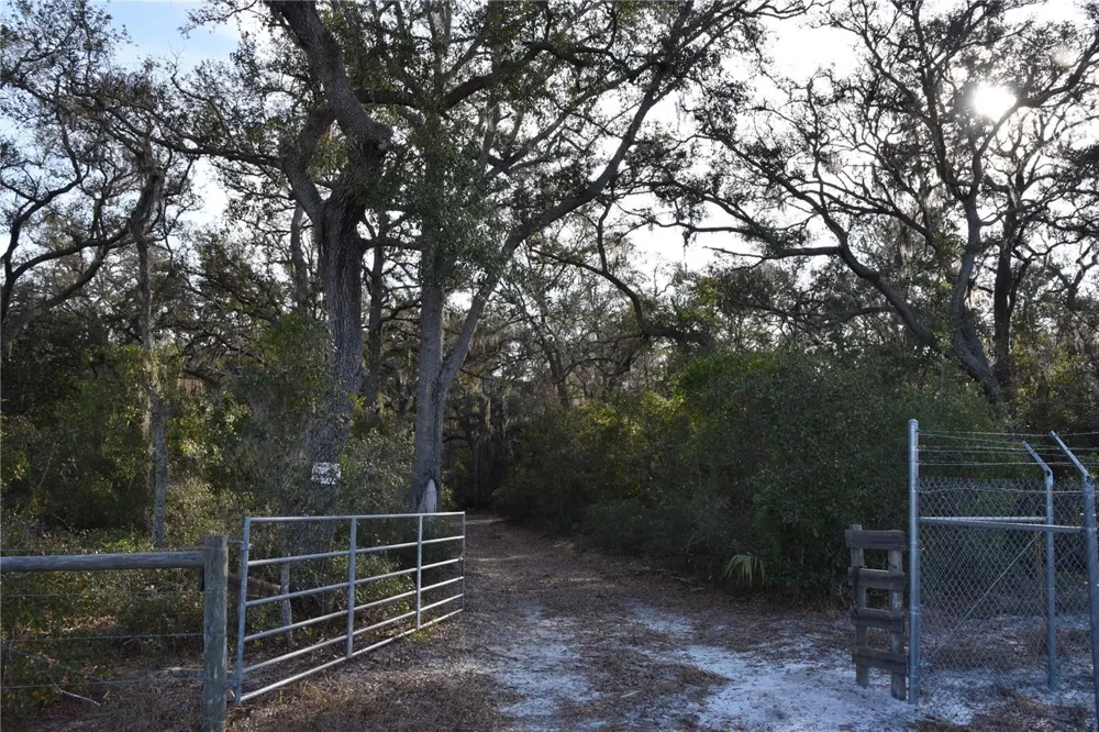 81 CLOUDS AVE Interlachen,, FL 32148