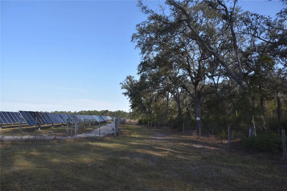81 CLOUDS AVE Interlachen,, FL 32148