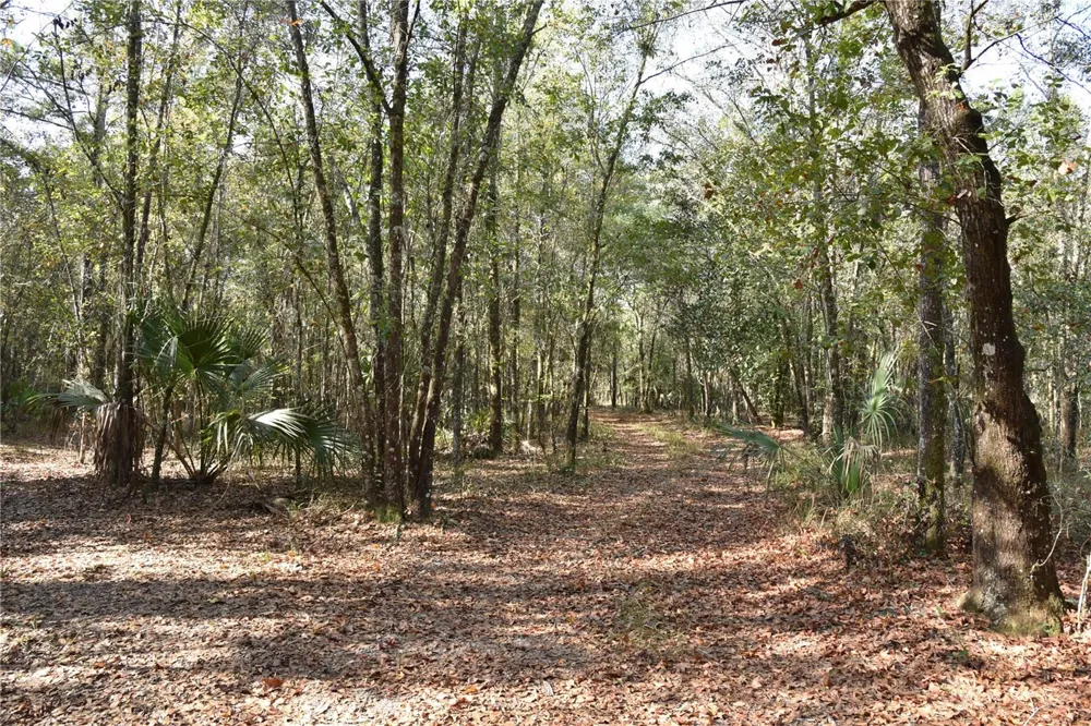81 CLOUDS AVE Interlachen,, FL 32148