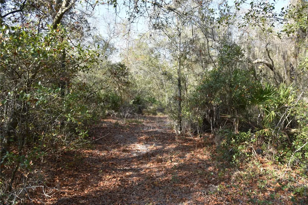 81 CLOUDS AVE Interlachen,, FL 32148