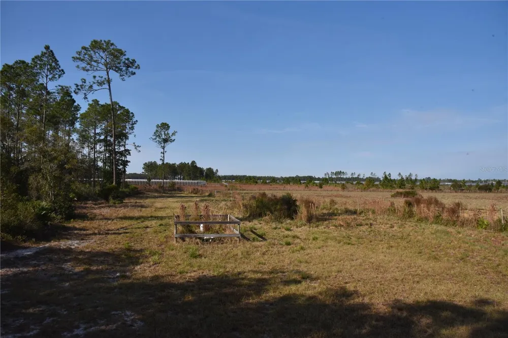 81 CLOUDS AVE Interlachen,, FL 32148