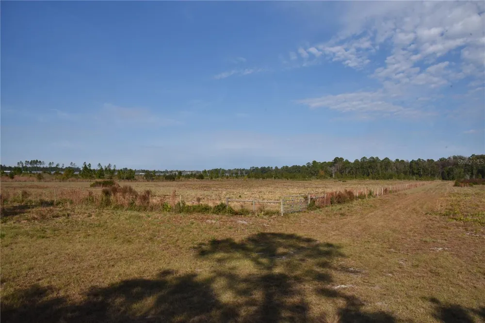 81 CLOUDS AVE Interlachen,, FL 32148