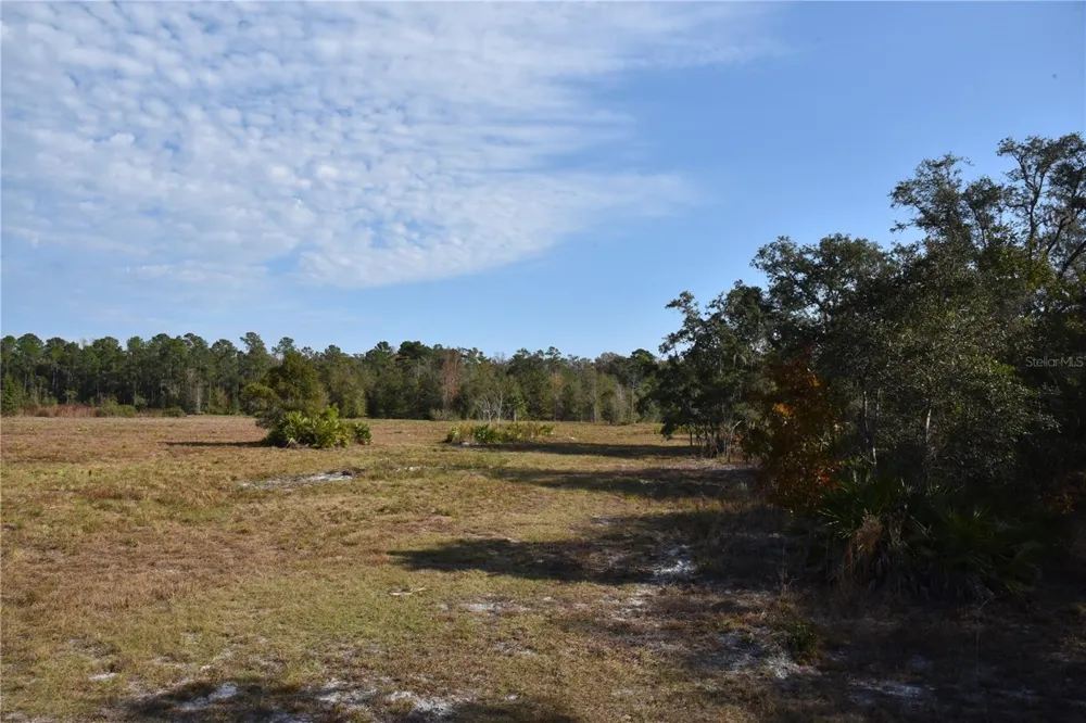 81 CLOUDS AVE Interlachen,, FL 32148