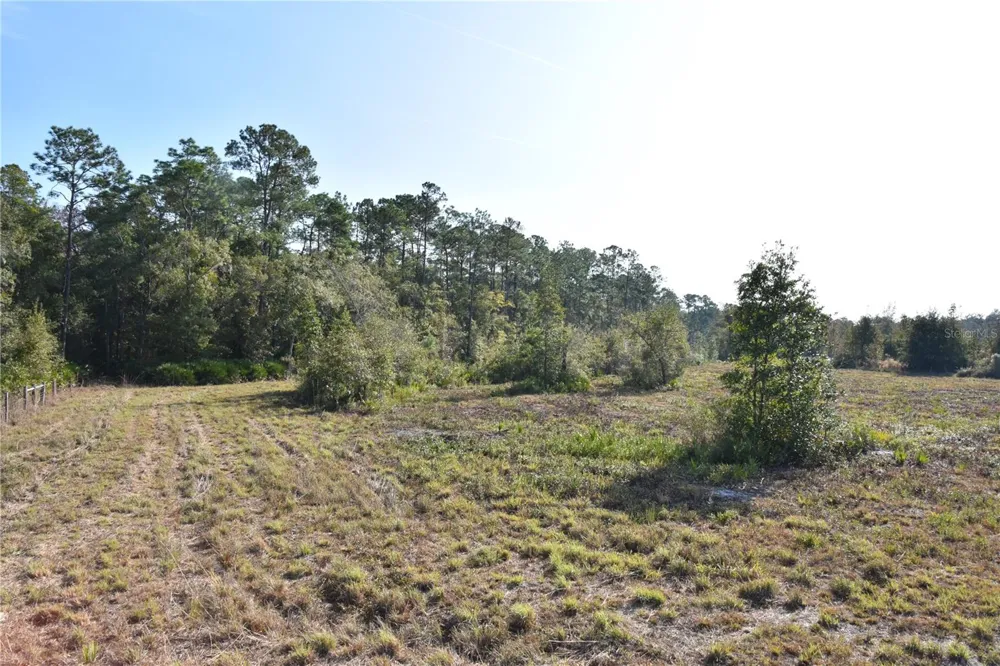 81 CLOUDS AVE Interlachen,, FL 32148