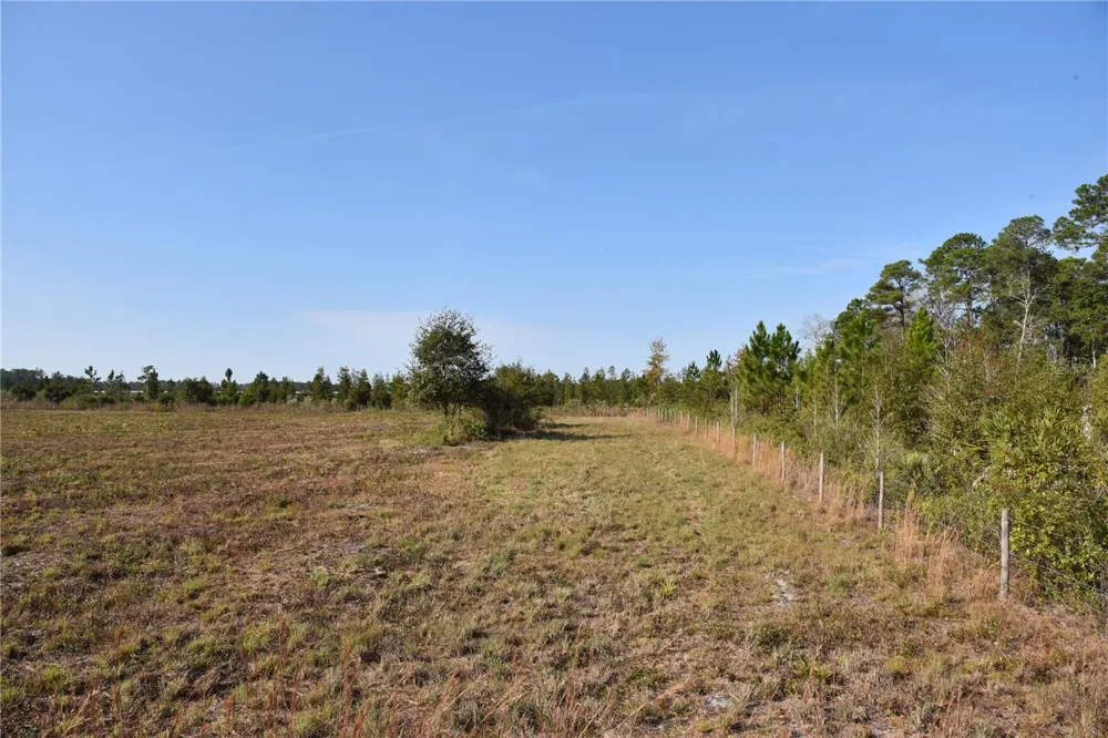 81 CLOUDS AVE Interlachen,, FL 32148