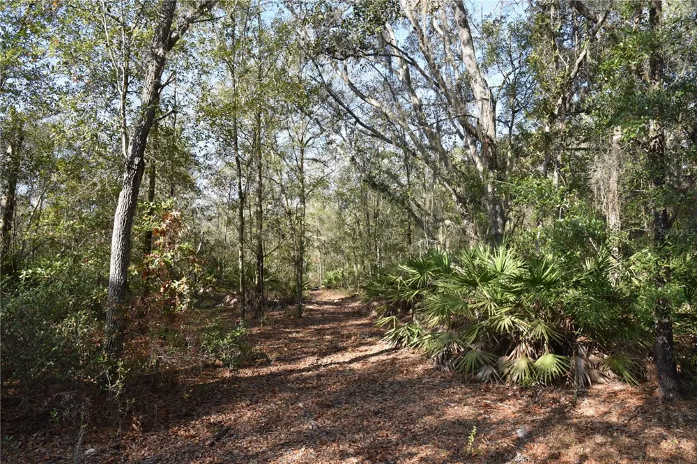 81 CLOUDS AVE Interlachen,, FL 32148