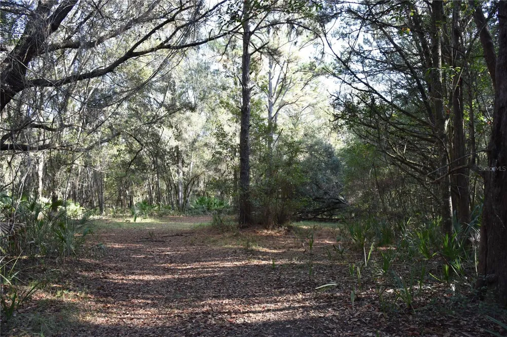 81 CLOUDS AVE Interlachen,, FL 32148
