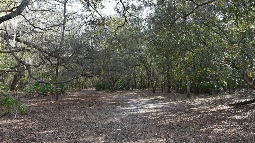 81 CLOUDS AVE Interlachen,, FL 32148