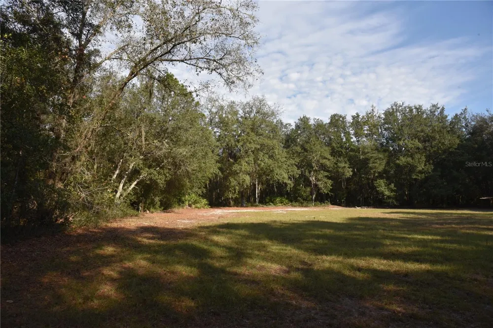 81 CLOUDS AVE Interlachen,, FL 32148