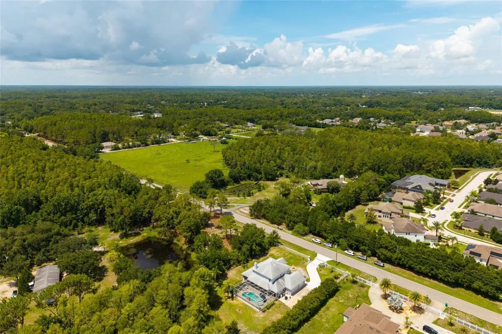 1436 ALTAMONT LANE Odessa, FL 33556
