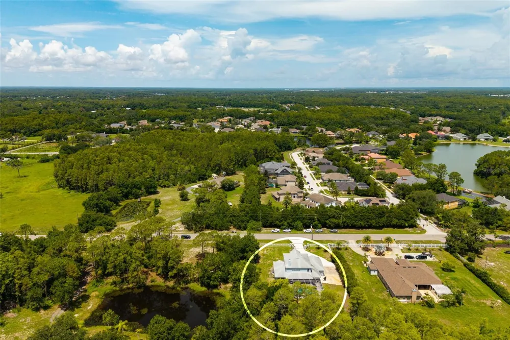 1436 ALTAMONT LANE Odessa, FL 33556