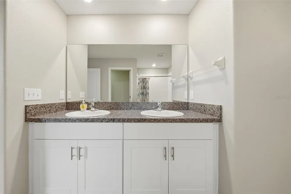 15617 CHARR ISLAND STREET Sun City Center, FL 33573