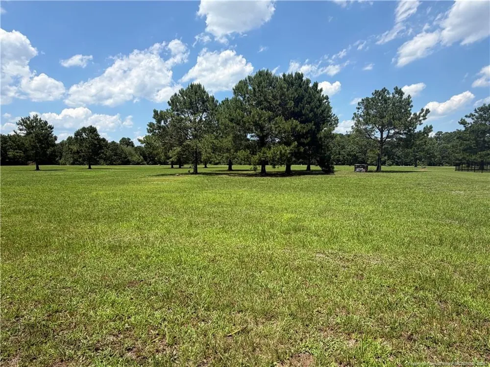 Lt 94 Old Tower Road Lumberton, NC 28360