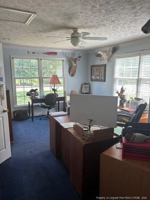 3744 NC HWY 210 Highway Harrells, NC 28444
