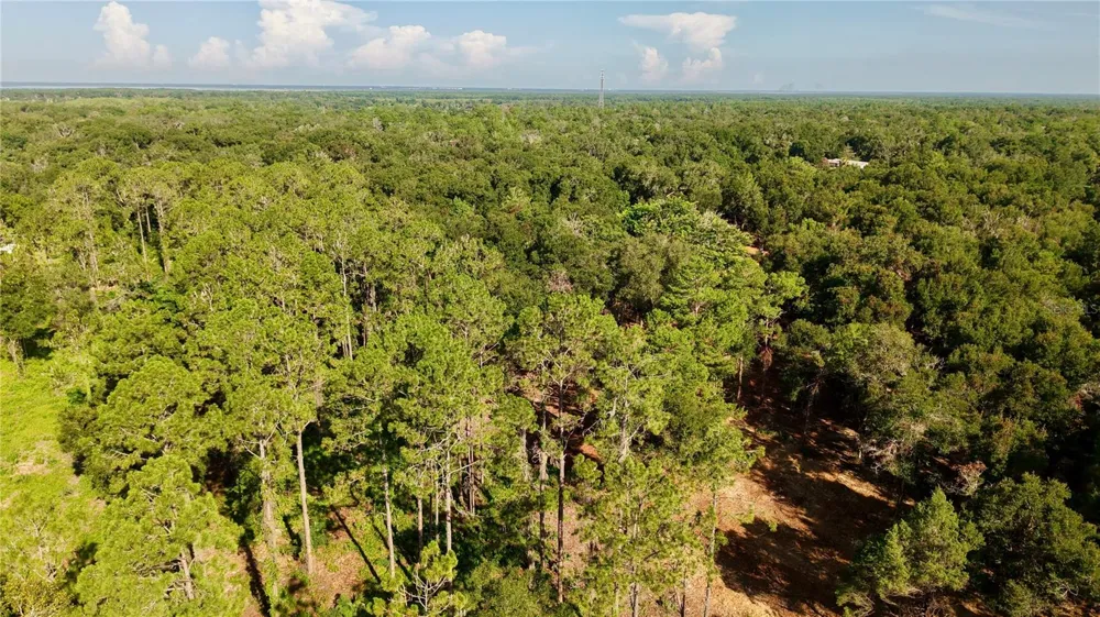 450 OLD GENEVA ROAD Geneva, FL 32732