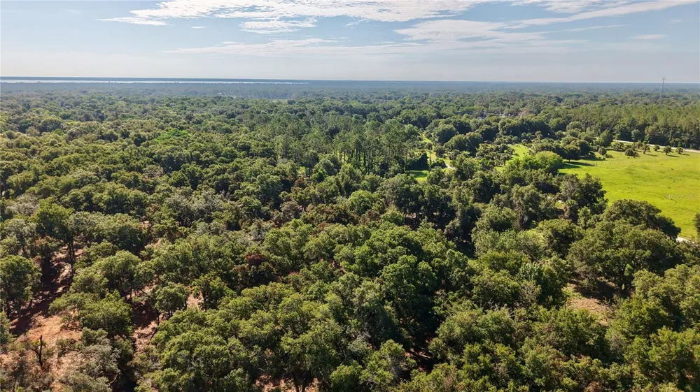 450 OLD GENEVA ROAD Geneva, FL 32732