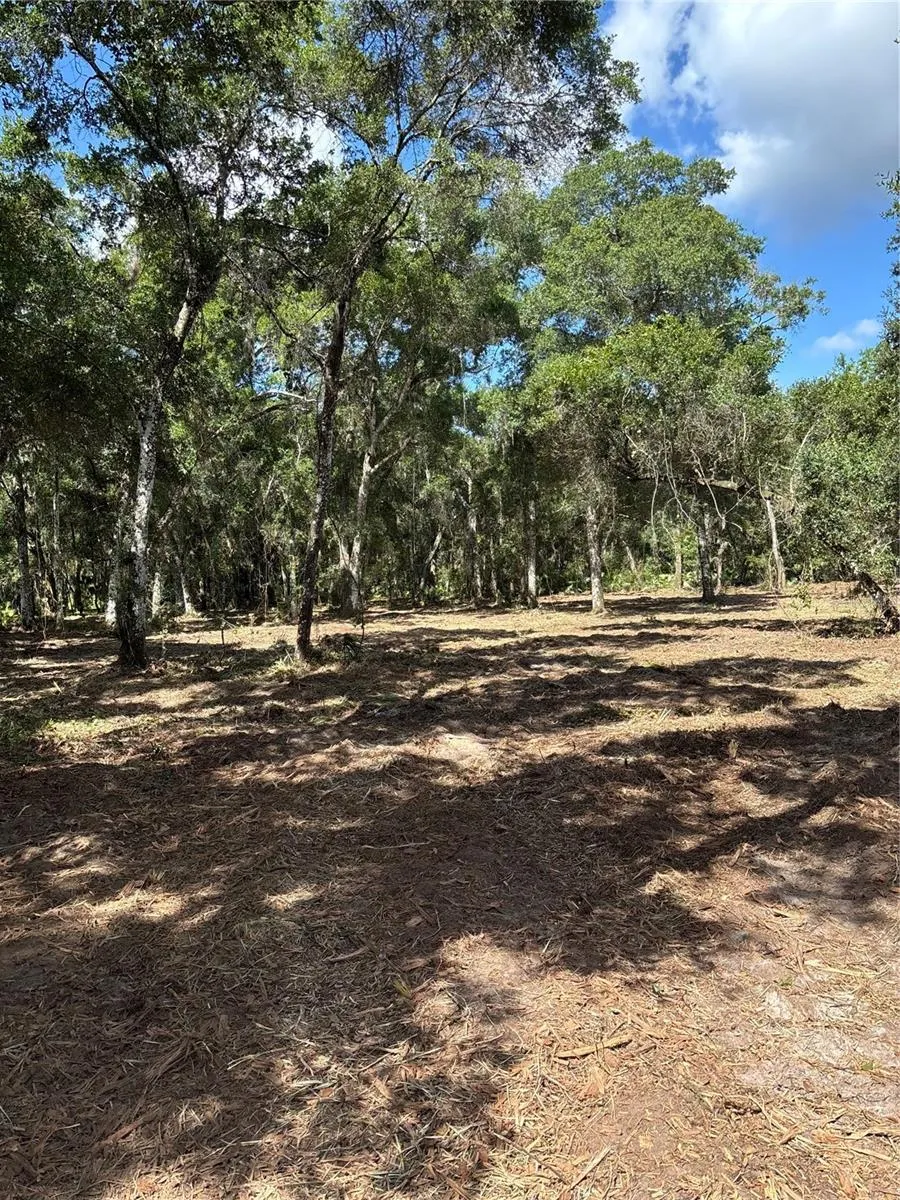 450 OLD GENEVA ROAD Geneva, FL 32732