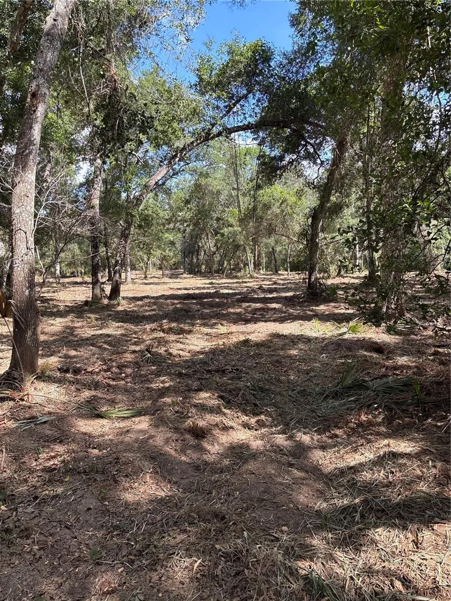 450 OLD GENEVA ROAD Geneva, FL 32732