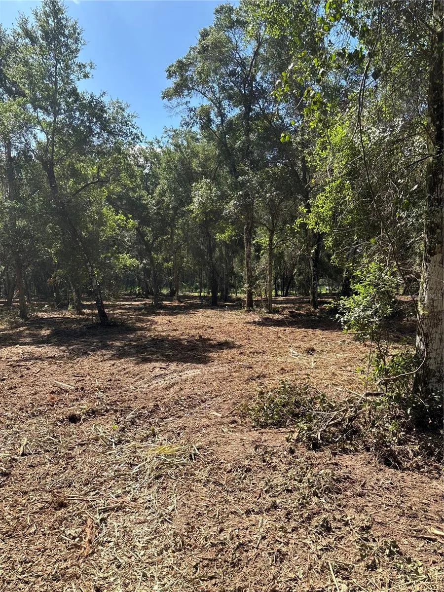 450 OLD GENEVA ROAD Geneva, FL 32732