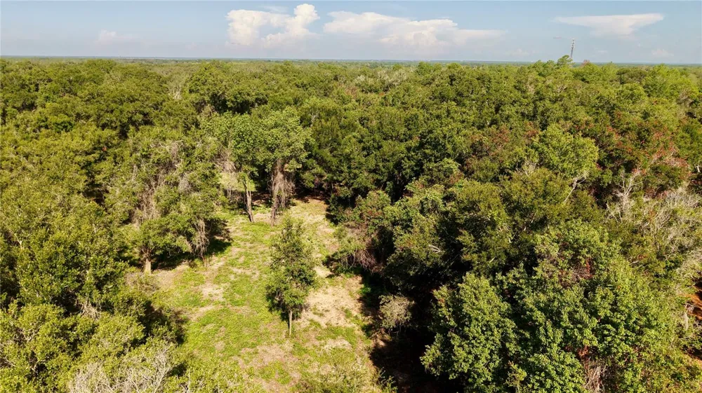 450 OLD GENEVA ROAD Geneva, FL 32732