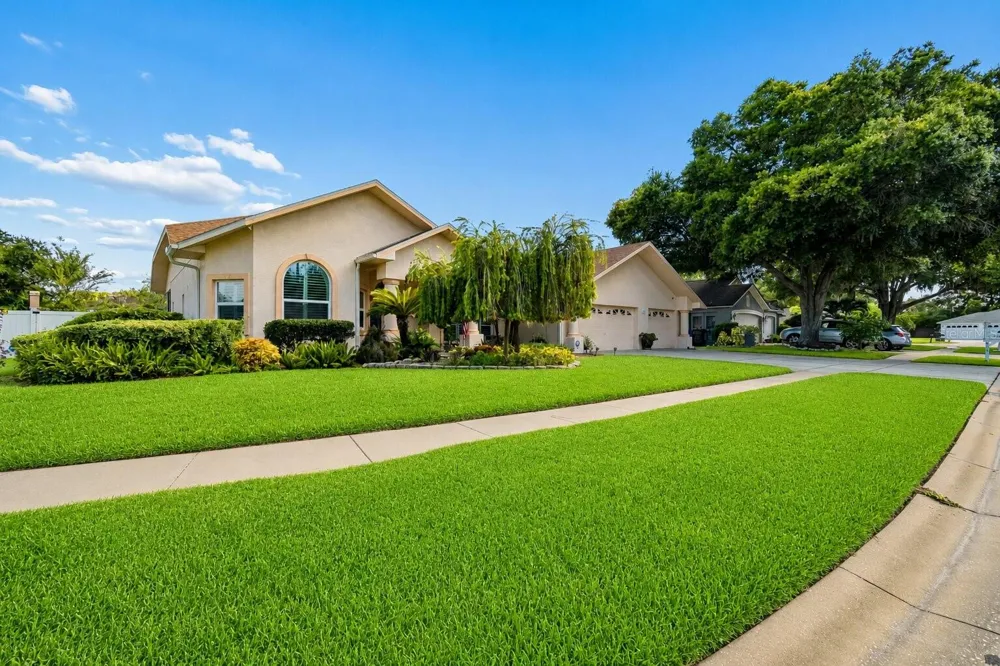 9002 TARAWYND CT Odessa, FL 33556