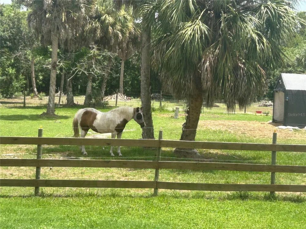 6416 18TH AVENUE E Bradenton, FL 34208