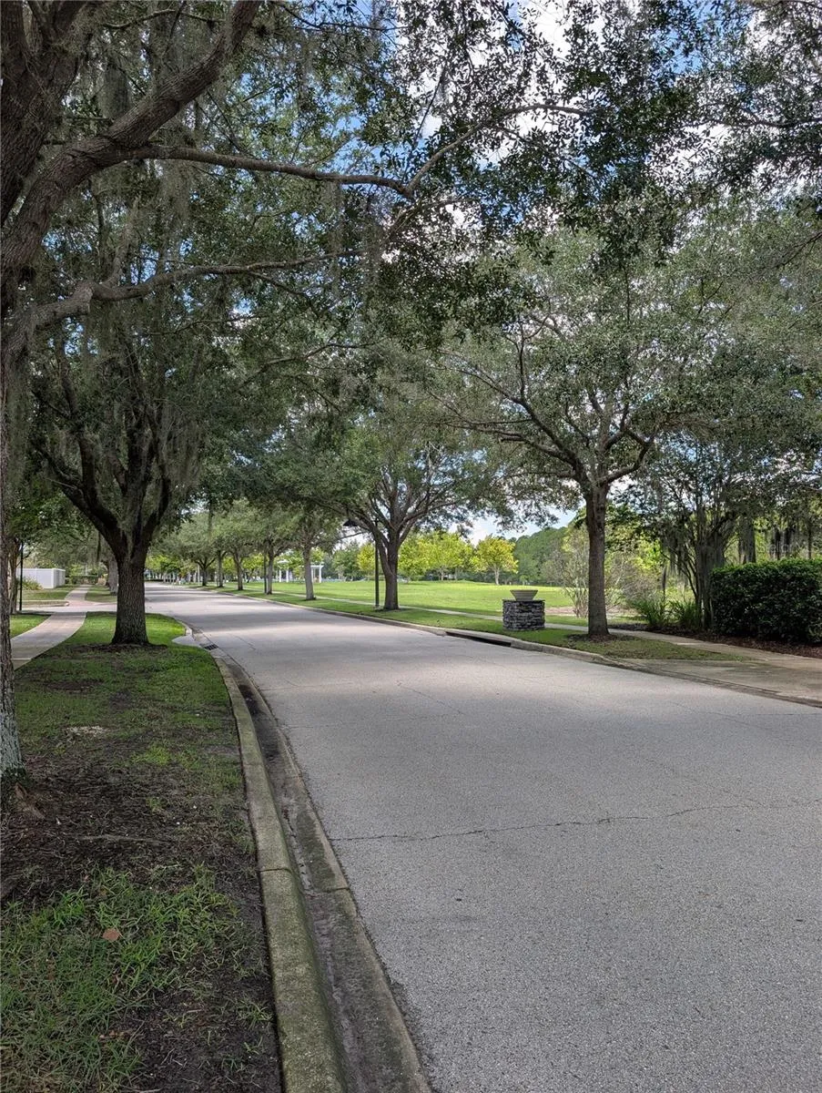 3214 NEEDLEGRASS LANE Harmony, FL 34773