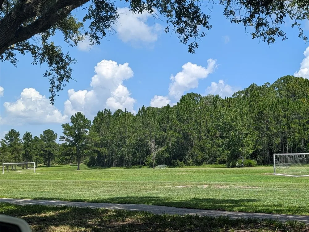 3214 NEEDLEGRASS LANE Harmony, FL 34773