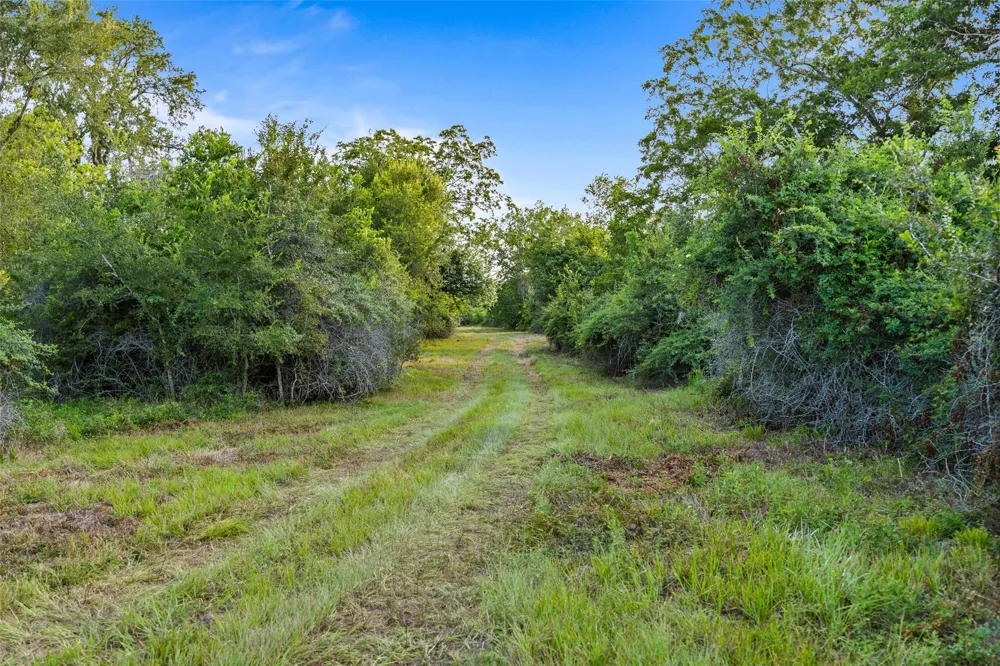 7462 County Road 284 Edna, TX 77957