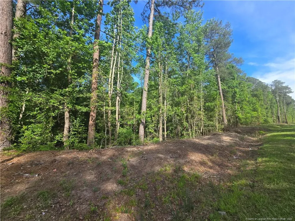 TBD Cabins Creek Road Vass, NC 28394