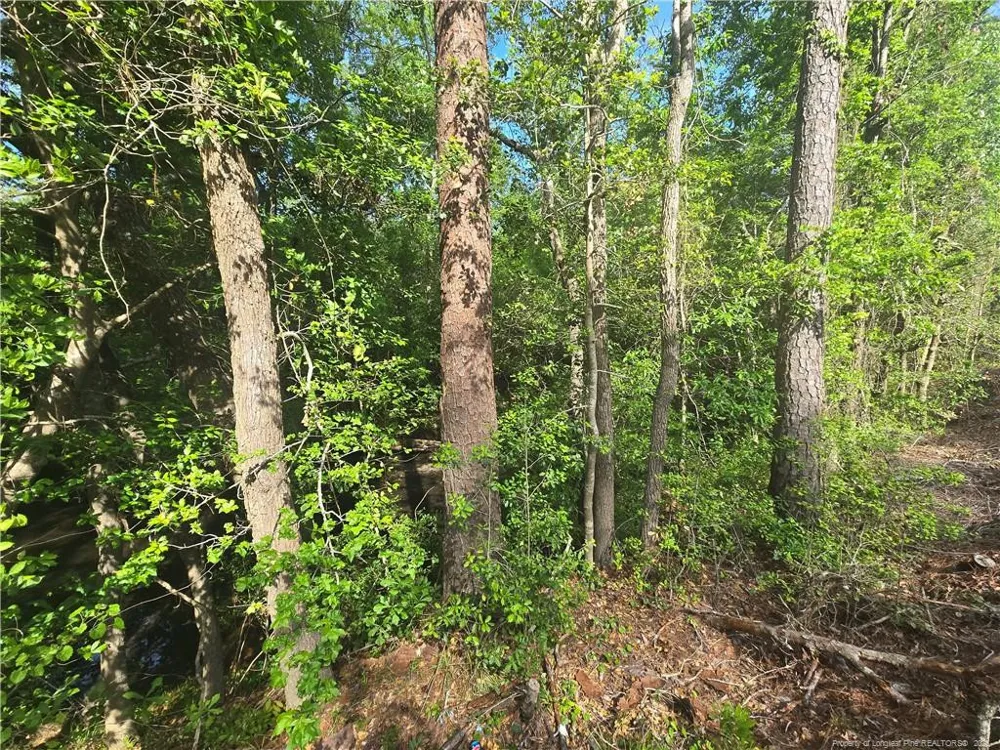 TBD Cabins Creek Road Vass, NC 28394