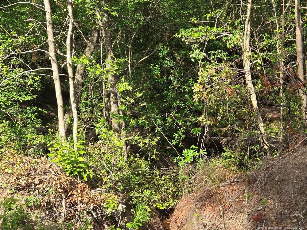 TBD Cabins Creek Road Vass, NC 28394
