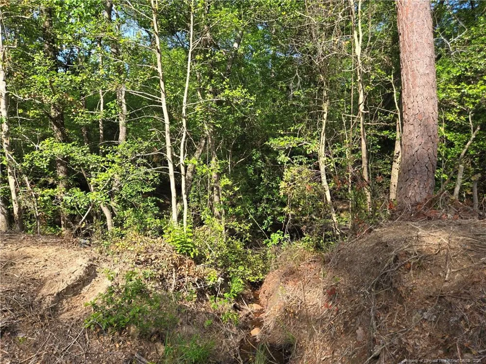 TBD Cabins Creek Road Vass, NC 28394