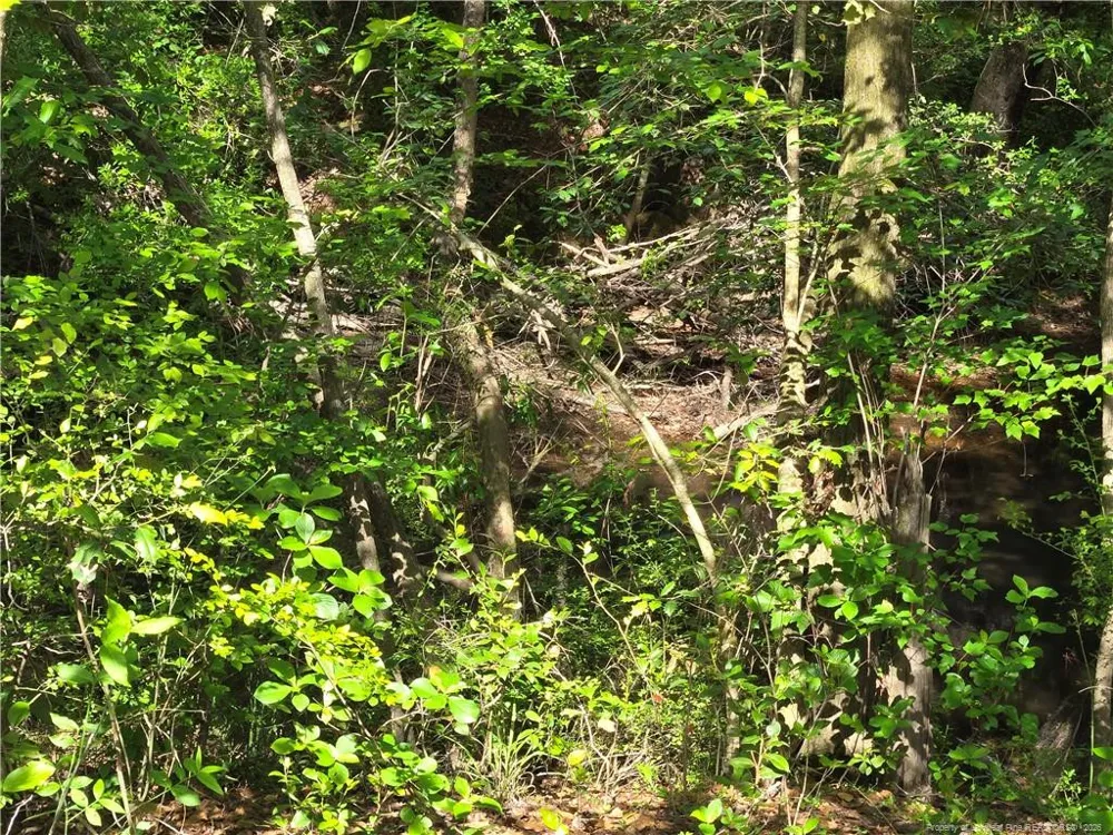 TBD Cabins Creek Road Vass, NC 28394