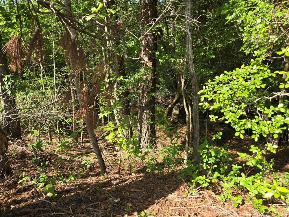 TBD Cabins Creek Road Vass, NC 28394