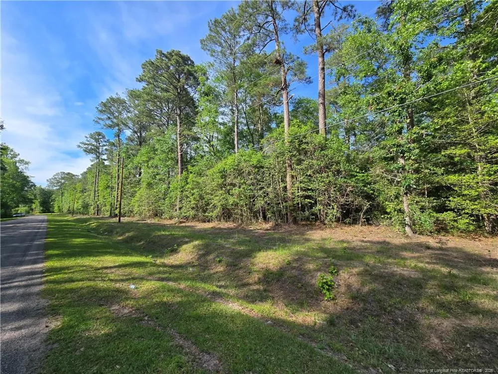 TBD Cabins Creek Road Vass, NC 28394