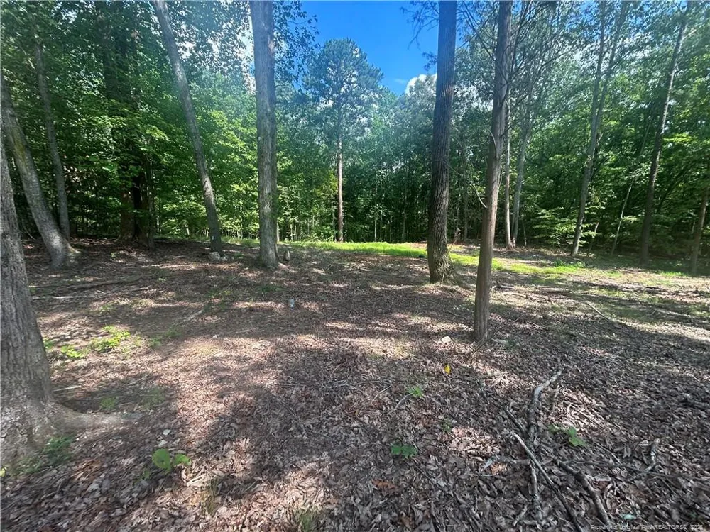 4515 Buckhorn Road Sanford, NC 27330
