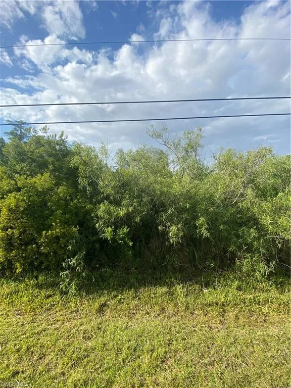 3894 Mango Street St. James City, FL 33956