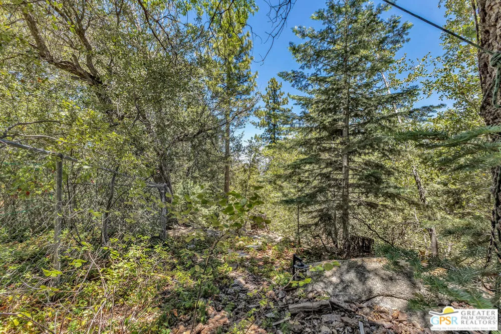 52260 Sylvan Way Idyllwild, CA 92549