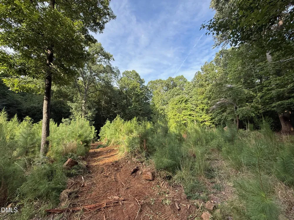 Lot 1 Orange Grv Street Hillsborough, NC 27278