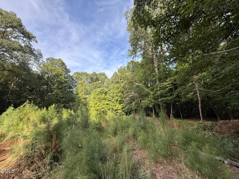 Lot 1 Orange Grv Street Hillsborough, NC 27278